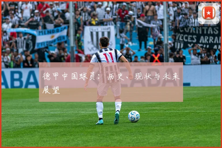 德甲中国球员:历史、现状与未来展望